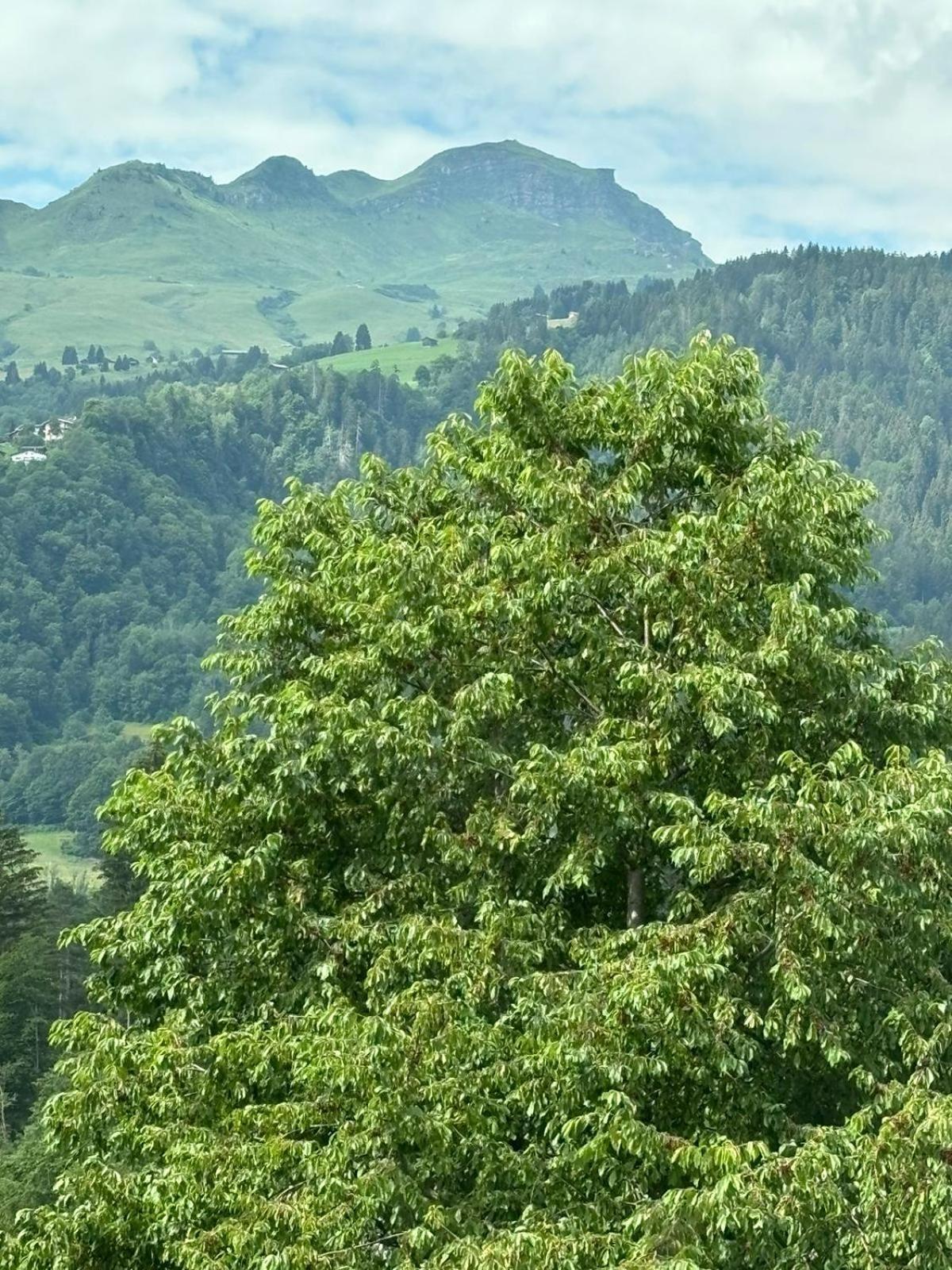 Landgasthof Zum Glenner Ilanz/Glion المظهر الخارجي الصورة